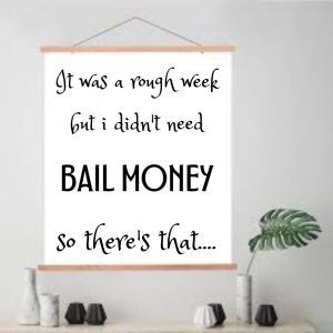 Funny Sarcastic Canvas Wall Art with Magnetic Wood Frame, Funny Sign for Living Room Wall Decor, Funny Quote Art Poster Hanging Decoration