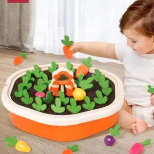 Educational Montessori Memory Toy Cultivated Field