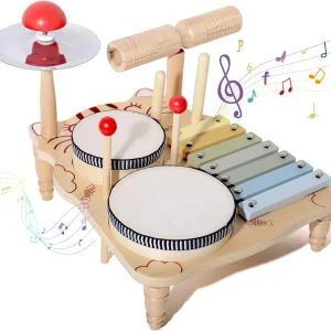 Wooden Toy Montessori Percussion Instruments Set For children