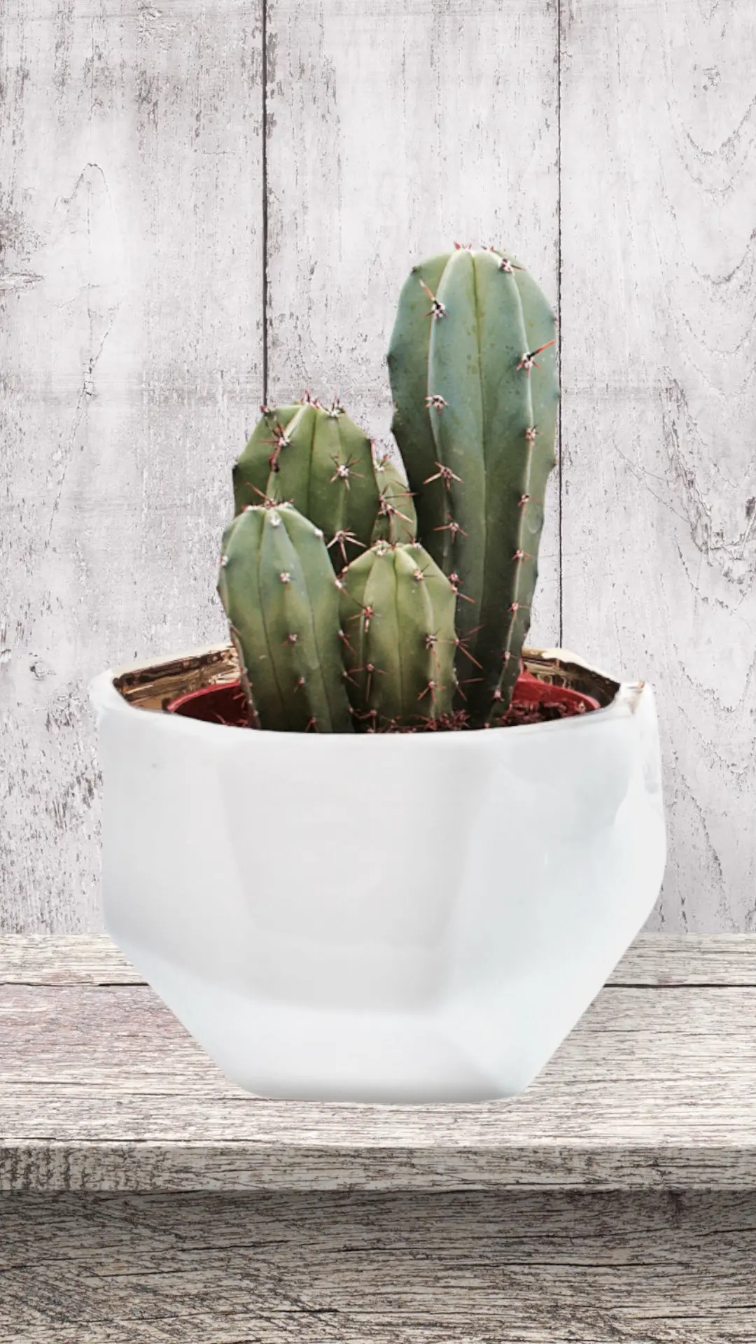Handmade Elegant White & Gold Ceramic Planter/Pot - Image 6