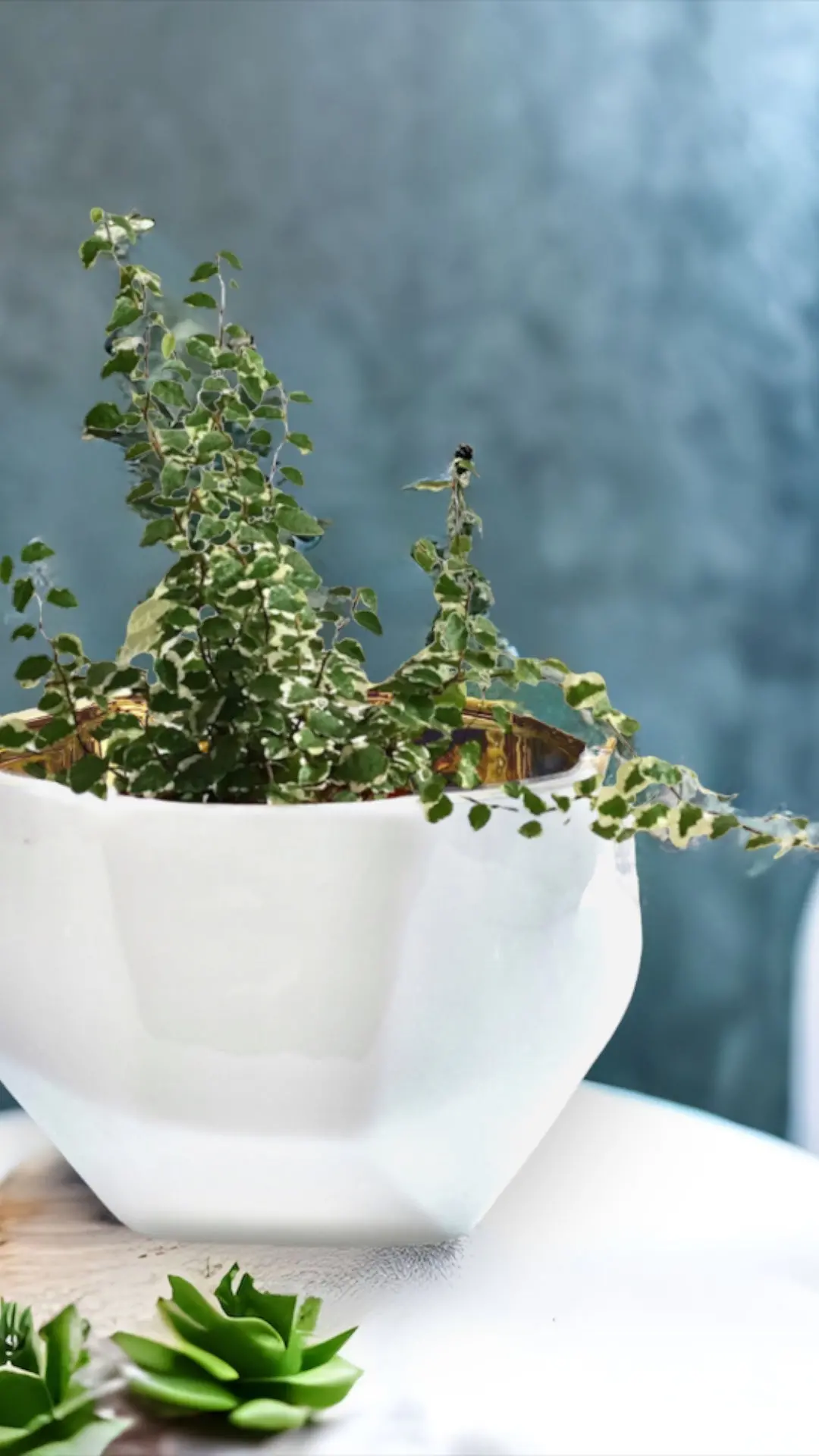 Handmade Elegant White & Gold Ceramic Planter/Pot - Image 9
