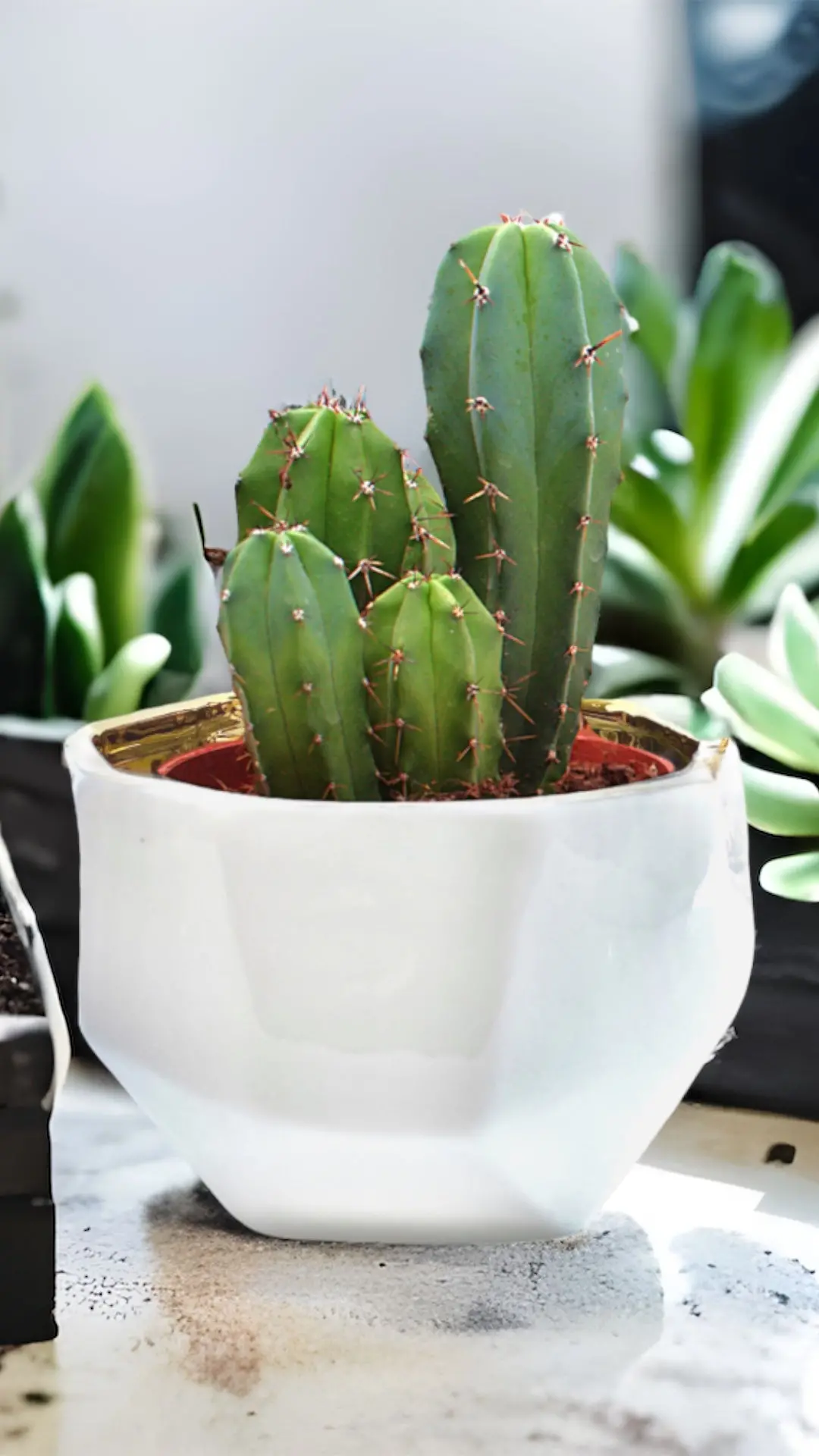 Handmade Elegant White & Gold Ceramic Planter/Pot - Image 10