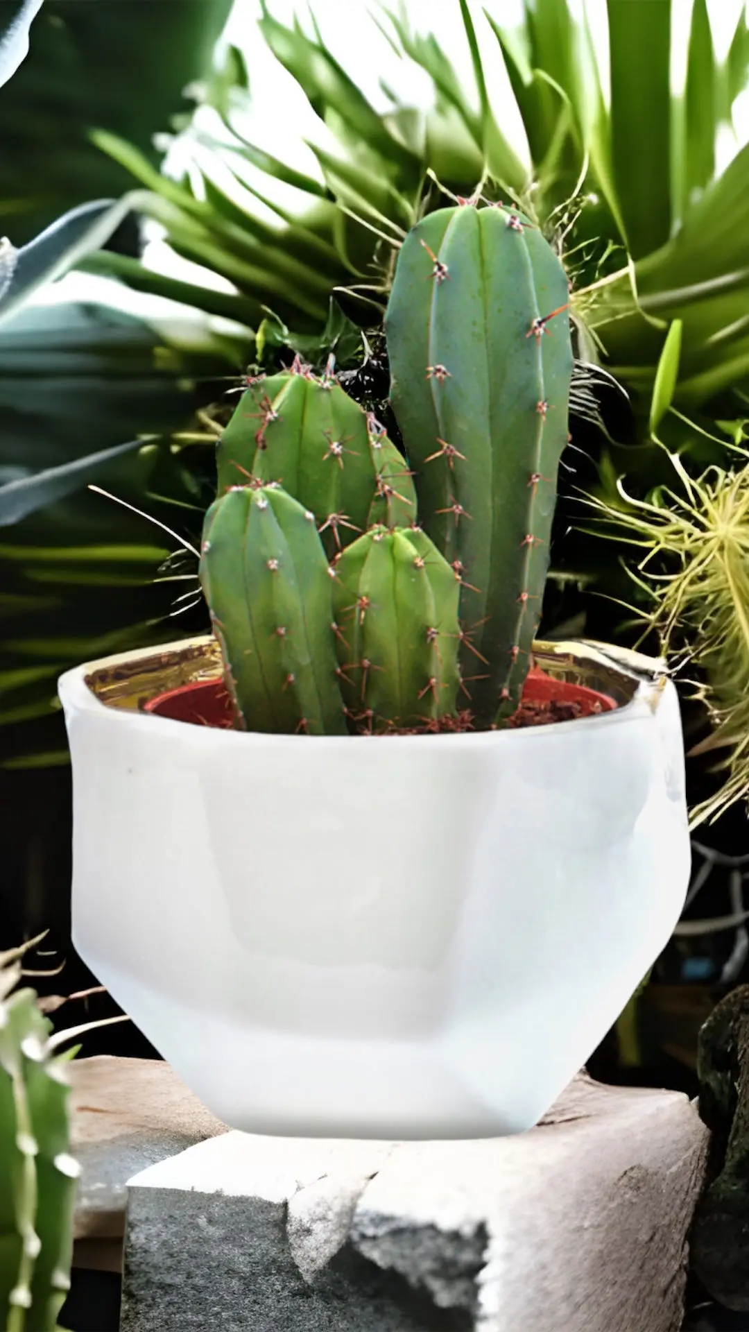 Handmade Elegant White & Gold Ceramic Planter/Pot - Image 11