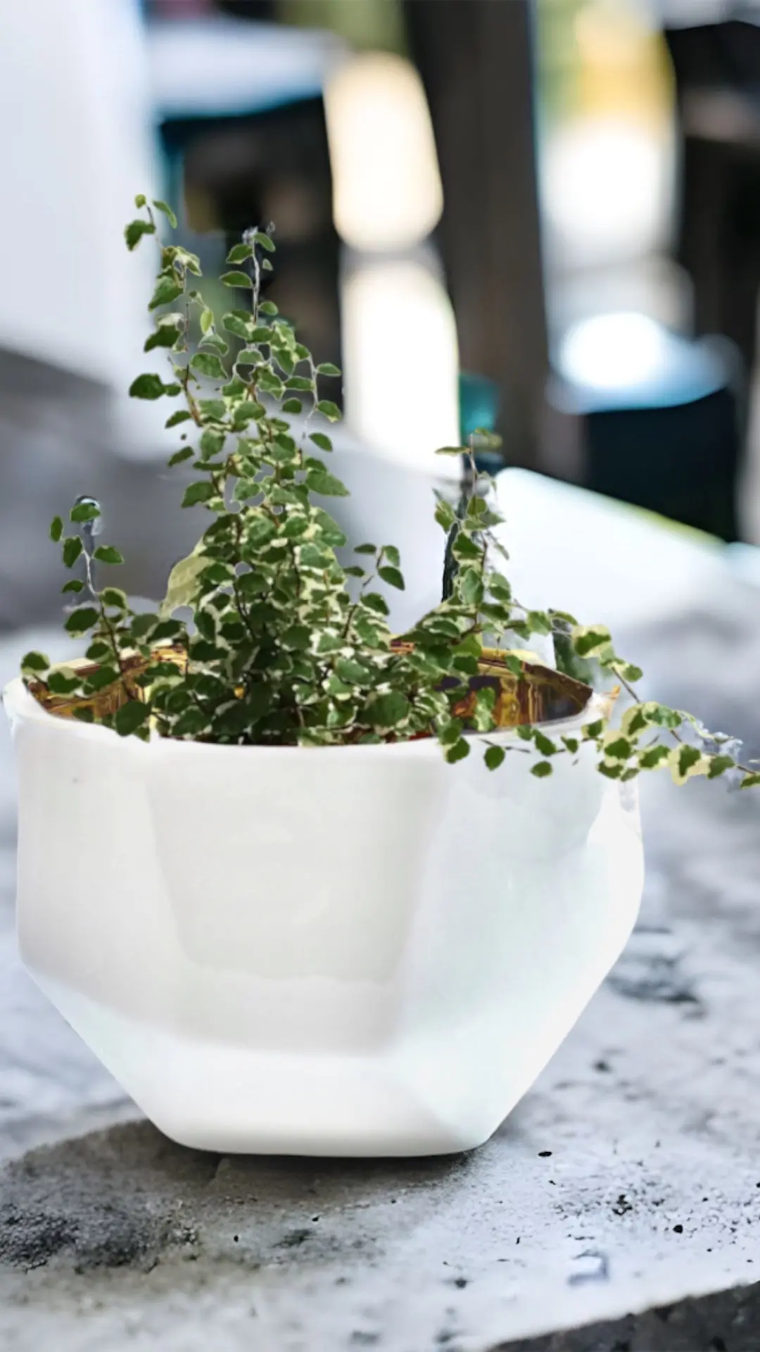 Handmade Elegant White & Gold Ceramic Planter/Pot - Image 12