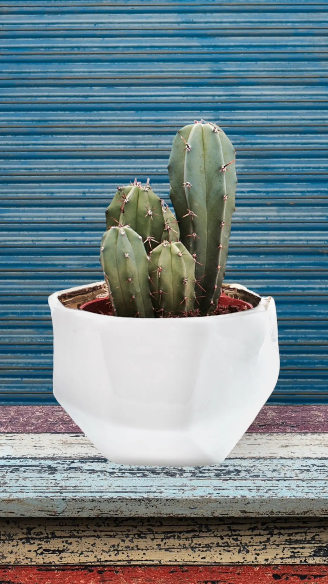 Handmade Elegant White & Gold Ceramic Planter/Pot - Image 5